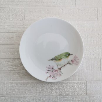 メジロと桜の小皿の画像
