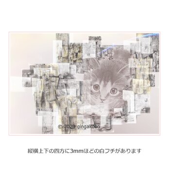 「雲の通い路にて」　猫　ほっこり癒しのイラストポストカード2枚組No.081の画像