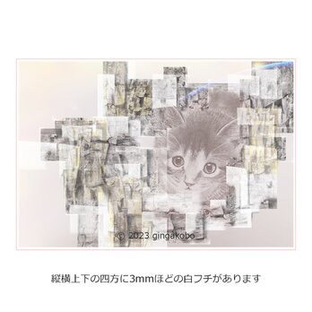 「雲の通い路にて」　猫　ほっこり癒しのイラストA4サイズポスター　No.1081の画像