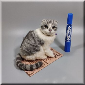 羊毛フェルト　猫　スコティッシュフォールド　ねこ　ネコ　猫フィギュアの画像