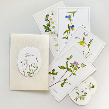 花言葉のカード　２の画像