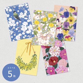 Early Spring ポストカード / 選べる５枚セットの画像