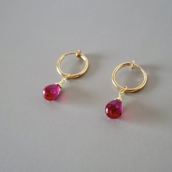 Fruity Ruby pierceの画像