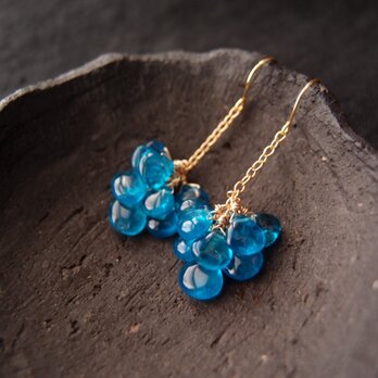 【K14gf】Apatite Dangling Earrings（deep color）／アパタイト 小房ピアスの画像