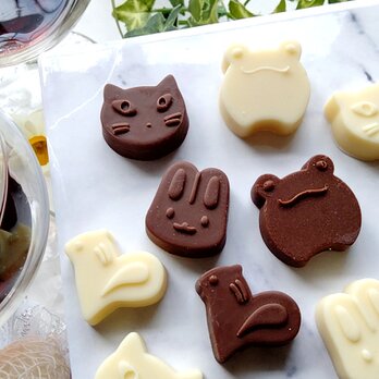 カエルのチョコレート型（２４）シリコンモールド　お菓子　手作り　プレゼントの画像