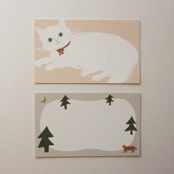 ミニカード＊白猫・森の画像