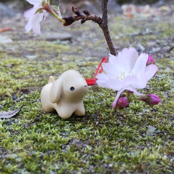 犬 ツゲ根付の画像