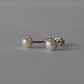 Pearl Pierce1の画像