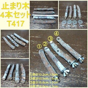 止まり木セット（枝：TOY-08-015）T417の画像
