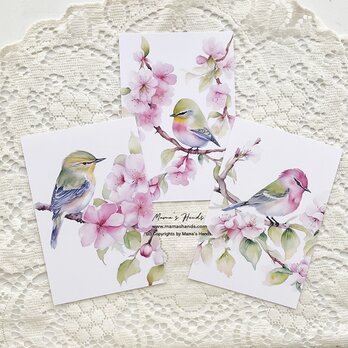 美しい 桜 小鳥 鶯 水彩画 イラスト アート ３枚 ハガキ ポストカード セット ♪の画像