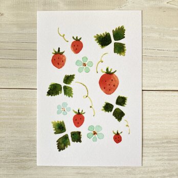 ポストカード2枚セット・水彩「苺の庭」の画像
