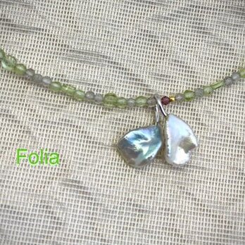 Folia（フォーリア）の画像