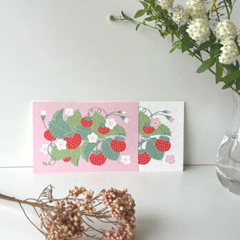 オーダーはがき【ストロベリー】４枚セットの画像