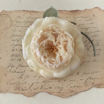 〈染め花〉イングリッシュローズのコサージュ（大輪・クリームホワイト）の画像