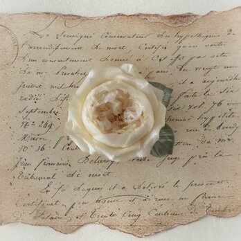 〈染め花〉イングリッシュローズのコサージュ（小輪・オフホワイト)の画像