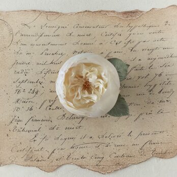 〈染め花〉イングリッシュローズのコサージュ（小輪カップ咲・オフホワイト)の画像