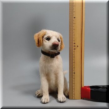 羊毛フェルト　犬　ラブラドールレトリバー 犬フィギュア　レトリバーの画像