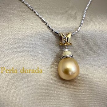 Perla dorada（ペルラドラーダ）の画像