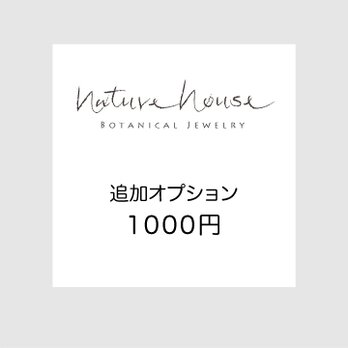 オプション 1000円の画像