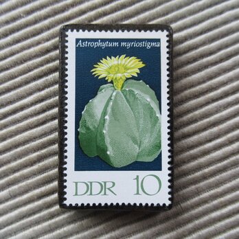 ドイツ　サボテンの花切手ブローチ9494の画像