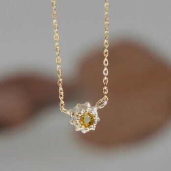 【1点もの】Mali Garnet necklace   / 10K  マリガーネットの画像