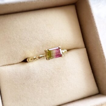 Bicolor Tourmaline Ringの画像