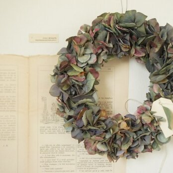 クラシックアジサイリース