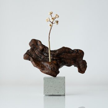 世界にたったひとつあなただけの流木一輪挿し | Driftwood Dryflower vase 27 - Cement S -の画像
