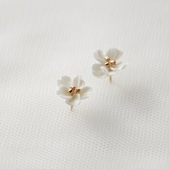 Hawthorn Studsの画像