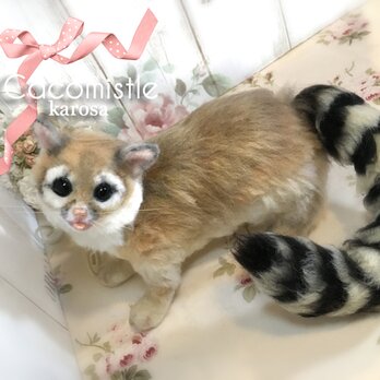 カコミスル 　アライグマ　ジャコウネコ　ネコ　ネズミ　鼠　羊毛フェルト　アートドールの画像