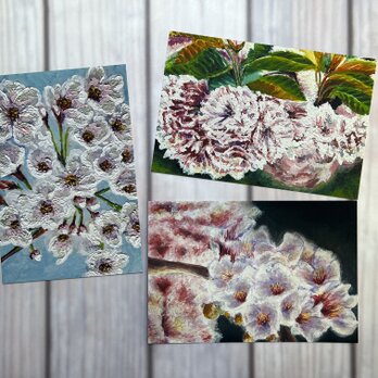 桜のポストカード　桜三部作　３枚セット　の画像