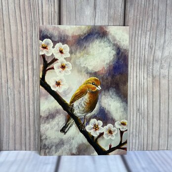 鳥のポストカード　鳥と桜　同柄ポストカード３枚セットの画像