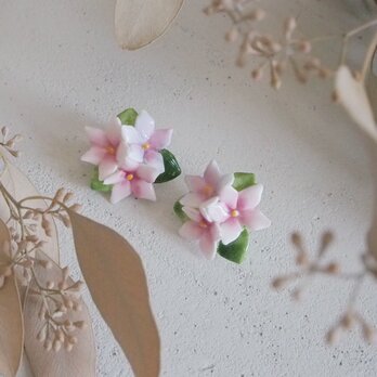 イギリス陶器のお花のイヤリングの画像