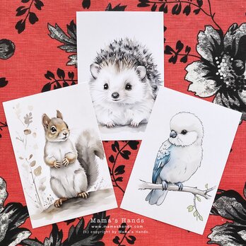 リス ハリネズミ 小鳥 水彩画 イラスト アート ３枚 ハガキ ポストカード セットの画像