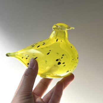 【iittala】Oiva Toikka 2003年 ”Crazy Days bird ” Stockmann・オイバトイッカの画像