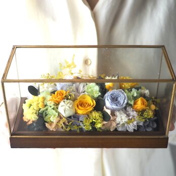 Iron gold (L) old -yellow&orange carnation-の画像