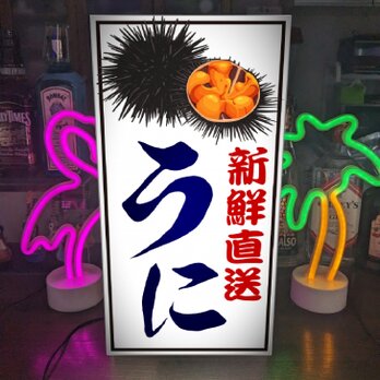 うに ウニ 雲丹 新鮮 海産物 産地直送 寿司 丼 和食 朝市 刺身 居酒屋 和食 レストラン 看板 置物 雑貨 ライトBOXの画像