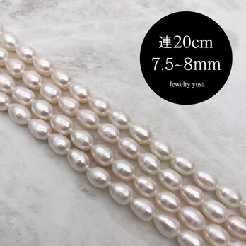 淡水パール 本真珠 艶々 ライス しずく ホワイト系 ブレスレット 半連20cm 7.5~8mm*5.5~6mmの画像