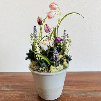 【Fritillaria / フリチラリア】　МLロング　ベイビーブルーの画像
