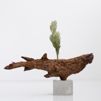 世界にたったひとつあなただけの流木一輪挿し | driftwood flowervase | osakana no.4の画像
