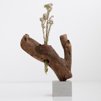 流木一輪挿し | driftwood flowervase | eda no.2の画像