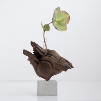 流木一輪挿し | driftwood flowervase | nichijo ni arumono no.1の画像