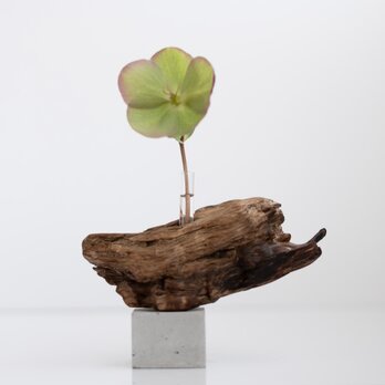 流木一輪挿し | driftwood flowervase | osakana no.3の画像