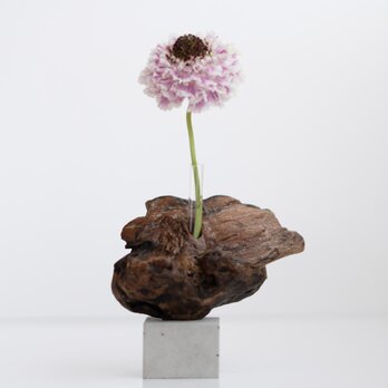 流木一輪挿し | driftwood flowervase | tamago no.1の画像