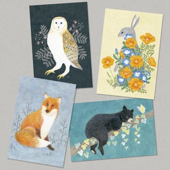 【Limited】Animal ポストカード ４枚セットの画像
