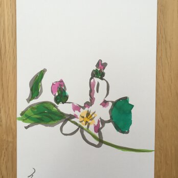 今月の記念日ポストカード　5月3日　林檎の花　の画像