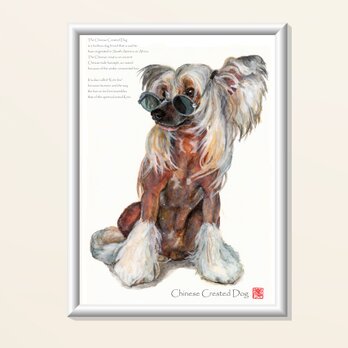 A4サイズ　インクジェット高品質専用紙各種ポスター　（プラ額入り）チャイニーズ・クレステッド・ドッグの画像