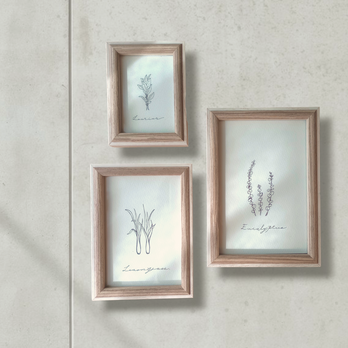 【3点セット 選べるハーブ】 植物 ボタニカル 花 インテリア アート モダン ハーブ 木製の画像