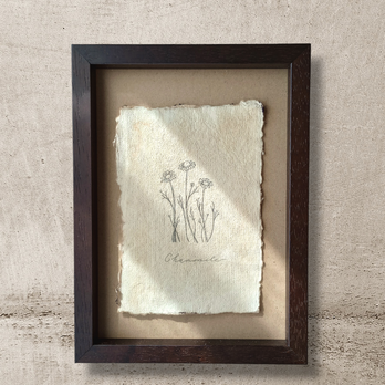 【一点物 カモミール chamomile】 植物 ボタニカル 花 インテリア アート ヴァンテージ ハーブ 木製の画像