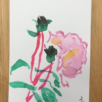 今月の記念日ポストカード　5月14日　ピンクの薔薇の画像